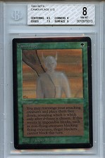 MTG Beta Camouflage BGS 8.0 NM-MT Magic  Card 9313 Amricons