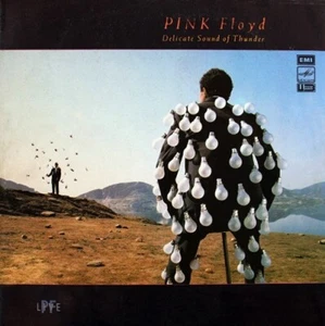 Pink Floyd – Delicate Sound Of Thunder LP / USSR: Мелодия - Bild 1 von 4