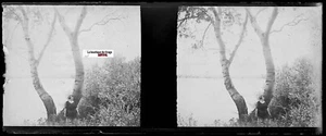 Femme, lac, Plaque verre photo stéréoscopique, négatif noir & blanc 4,5x10,7 cm - Picture 1 of 2