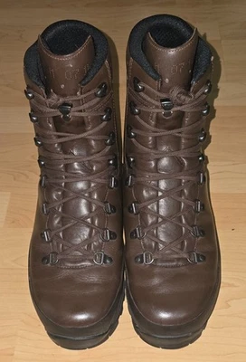 LOWA горы GTX целевой группы GORE TEX темно-коричневый ботинки США 11, ЕС 44,5, Великобритании 10 - Изображение 1 из 4