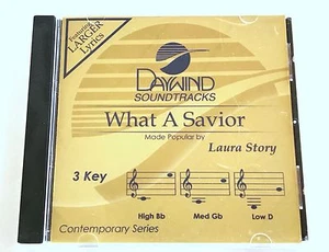 Daywind - Laura Story - What A Savior - accompaniment track christian cd - new - Bild 1 von 3