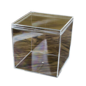 Square High Transparent Plastic Box Betta Breeding Box Mini Candy Packaging Box