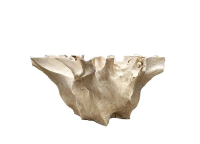 "Mesa de centro de raíz de teca blanqueada maciza 39"" - madera orgánica escultural" Foto 1 de 4