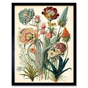 Haeckel Inspired Vintage Botanical Plant Study Framed Art Picture Print 12x16 - Picture 1 of 30