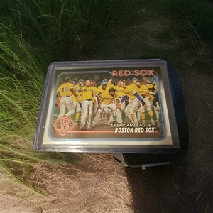 BOSTON RED SOX FANS: Lot of 45 former, current, & future Red Sox stars/notables! - Picture 1 of 17