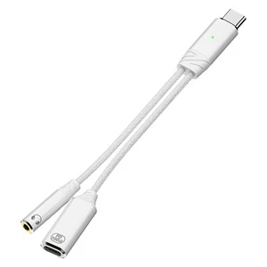 Tragbarer USB C auf 3 5mm Audio Adapter mit 100W Power Delivery Unterstützung - Afbeelding 1 van 14