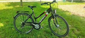 Alu-rex Touring 29 - Bild 1 von 1