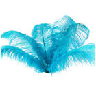 10 pcs Natural Ostrich Feathers Wedding Party Decoration Lake  20-25cm V2R99253