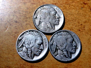 Bonito Juego de 3 Better Date 1920PDS Año Set Buffalo Nickels K1 - Imagen 1 de 2