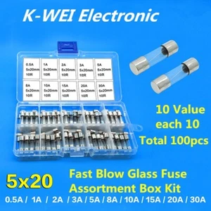 10 Values 100 Pcs Fast Blow Glass Fuses Assortment Kit 5x20mm 250V - Picture 1 of 3
