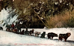 POSTCARD YUKON DOG TEAM FREIGHTING THROUGH ALASKA CANYON ALASKA - Picture 1 of 2