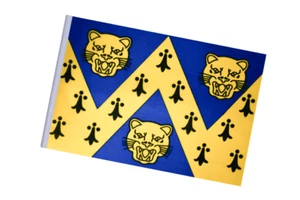Shropshire County kleine Flagge - ideal für Kunsthandwerk - 23 cm x 15 cm - Bild 1 von 3