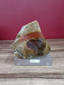 Yellow red Opalized petrified wood polished with base 1675gr 8x10x14cm (20) - Picture 1 of 10