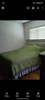 Green Chenille 100% Cotton Bedspread And 2 Pillow Shams, Full/Queen - Image 1 of 3