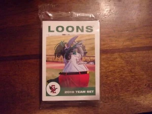 2019 GREAT LAKES LOONS Minor League Team Set JAMES OUTMAN MIGUEL VARGAS SEALED - Bild 1 von 1