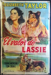 Courage of Lassie , Elizabeth Taylor , Original Argentine Poster, 10793 - Picture 1 of 1