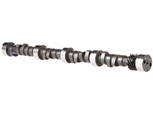 Camshaft 43VBRZ22 for Buick Century Regal Skylark 1977 1978 1979 - Picture 1 of 1