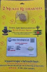 VERY RARE 2 MUKHI RUDRAKSHA / TWO FACE RUDRAKSH - JAVA BEAD - Picture 1 of 5