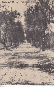 8608) FORTE DEI MARMI VIALE DELLA STAZIONE LUCCA VIAGGIATA NEL 1910 - Bild 1 von 2