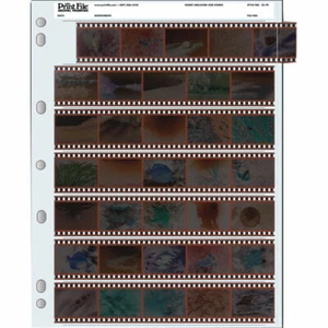 Print File 35-7B Archival Storage for 35mm Negatives Pack of 100 - Picture 1 of 1