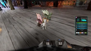 Ark Survival Ascended Pve Official Drakling high lvl Summer - Bild 1 von 2