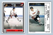 Todd Wetzel - Thunder #273 OHL 7th Inning Sketch 1990-91 Hockey Trading Card