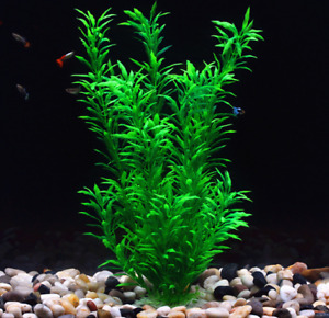 16" Realistic Aquarium Fish Tank Plastic Plants Ornament Artificial Decor Plant
