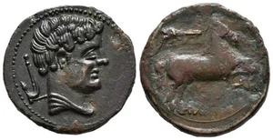SETEISCEN (Sástago, Zaragoza). Semis. (Ae. 6,73g/22mm). 120-20 a.C. (FAB-2211). - Imagen 1 de 1