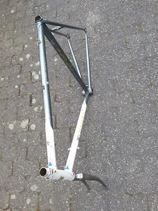 Rennrad Rahmen Champion - Picture 1 of 12