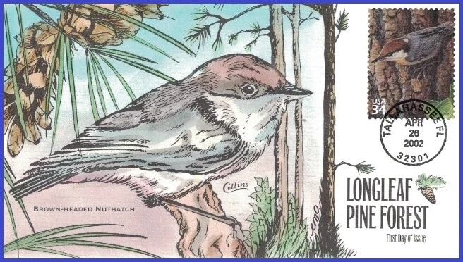 USA1 #3611j U/A COLLINS HAND PAINTED FDC   Pine Forest Brown-headed Nuthatch - Image 1 of 1