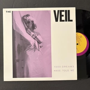 The Veil 1000 Dreams Have RARE PRIVATE POWER POP HARD ROCK LP GAME THEORY NM - Picture 1 of 8