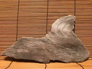Beautiful 8" DRIFTWOOD Piece Terrarium Aquascape Floral Decor Crafts Art - Picture 1 of 9