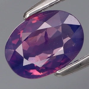 1.17Ct.Precious Gem Natural Lavender Pink UNHEATED Sapphire Tanzania Good Luster - Picture 1 of 4