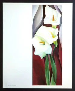 Georgia O' Keeffe Calla Lilies Botanic Flowers Art Print Book Plate 50 - Picture 1 of 5
