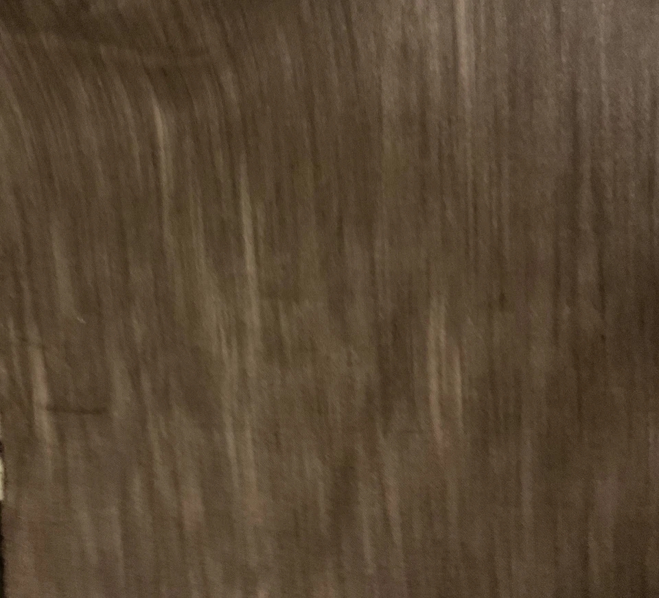 1 Yard Brown “ For The Birds “  44” Wide  100% Cotton - Imagem 1 de 1