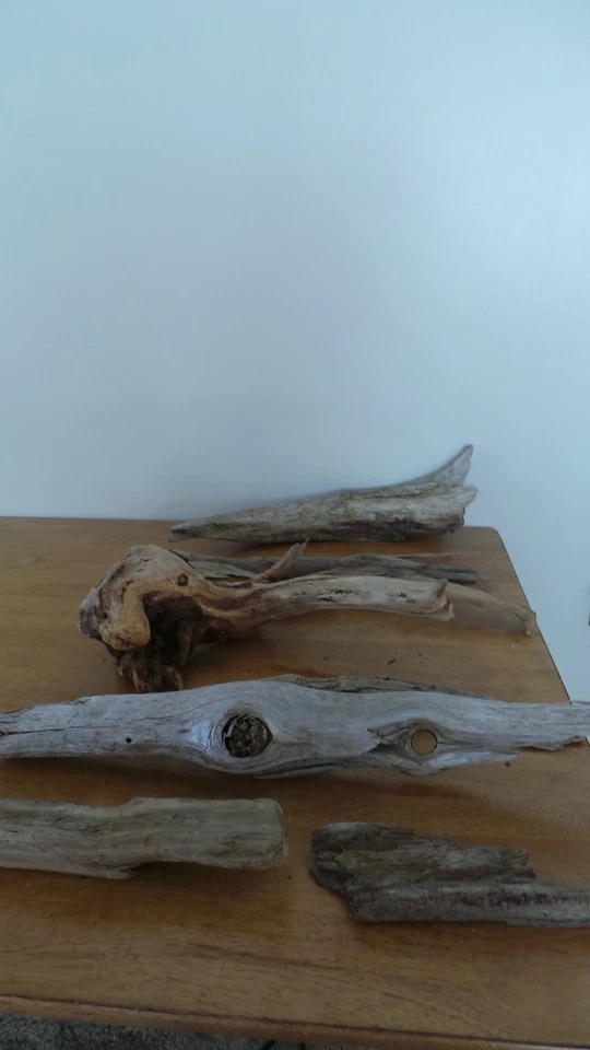 Lote de madera a la deriva sin tratar decoración de acuario terrario reptiles artesanía Foto 1 de 4