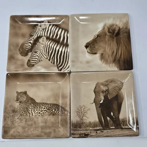 Set Of 4 Dario Farrucci African Safari Animal 5.5 In Square Plates ***read*** - Picture 1 of 13