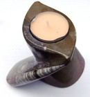 Teelicht Ammonit braun Orthoceras aus Marokko Fossil stone  DEKO !! Unikat