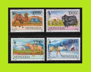 Mongolia 2011 Fauna - Domestic Animals - Complet Series 4 Stamps - MNH - Picture 1 of 2