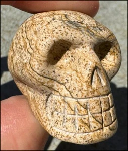 PICTURE ROCK JASPER Crystal Skull - Harmony, Awareness - w/ Synergy 15+ years - Picture 1 of 11
