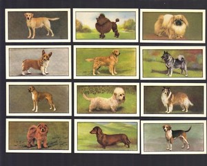 CIGARETTE/TRADE/CARDS. Barbers Tea. DOGS. (1961). (Complete Set of 24).