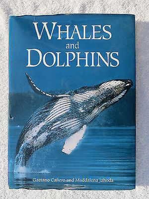 Whales And Dolphins Book Maritime Nautical Marine (#177) • 25.73$