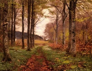 HANS ANDERSON BRENDEKILDE POSTER Wald Landschaft - Bild 1 von 1