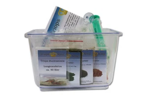 Triops Longicaudatus Full Kit - Anfänger II inkl. Futter, Anleitung usw. - Bild 1 von 4