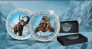 Canada 2023-24 2x10$ Mysterious Rhodium -Ice Age 2x2 oz moneta d'argento - Foto 1 di 6