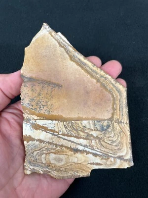 5" x 4" x 3/16"  African Quee Picture Jasper Slab for Cabbing or Display - Image 1 of 3