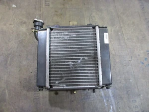 Enfriador de agua Kymco Yager GT 125 radiador enfriador BR3F2 B407 - Imagen 1 de 5