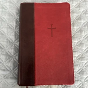 CSB Holy Bible Christian Standard Bible- HOLMAN Brown Genuine Goatskin Leather - Picture 1 of 12