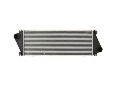 Intercooler Spectra 25547PBDG 2005 Freightliner Sprinter 2500 2004-2006 Foto 1 de 2