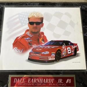 Placa Dale Earnhardt Jr #18 - Imagen 1 de 2